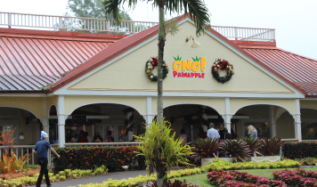 オノ・パイナップル